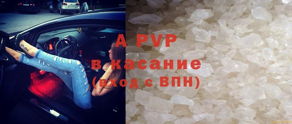 шишки Аркадак