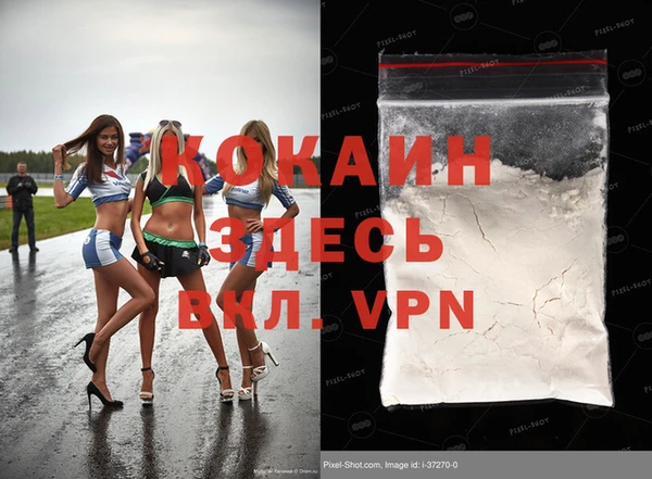 шишки Аркадак