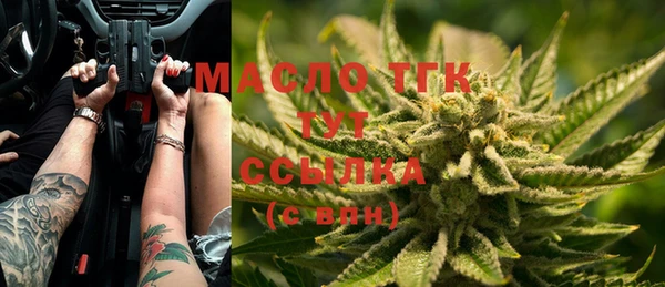 шишки Аркадак