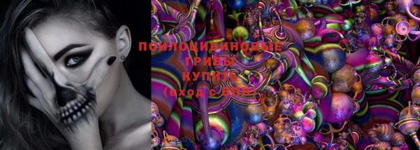 шишки Аркадак