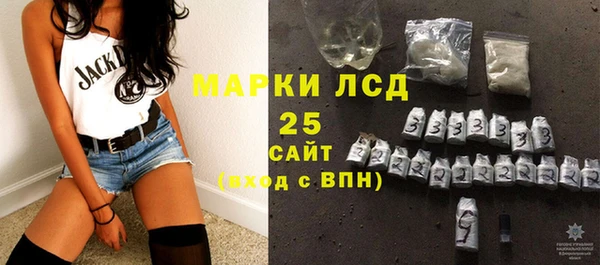 шишки Аркадак
