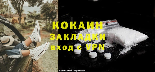 соль ск Арсеньев