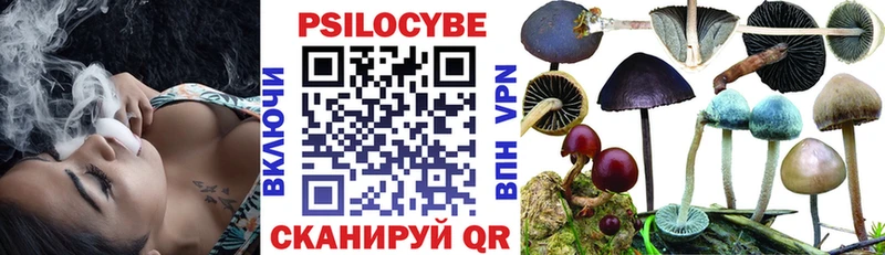 Псилоцибиновые грибы Magic Shrooms  OMG ССЫЛКА  Вичуга 